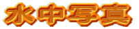 �����ʐ^