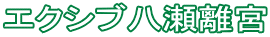 �G�N�V�u�������{